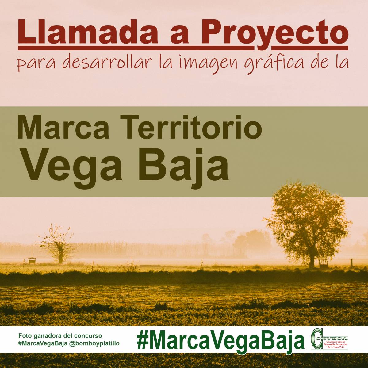 Llamada a proyecto para desarrollar la imagen gráfica de la Marca Territorio para la Vega Baja